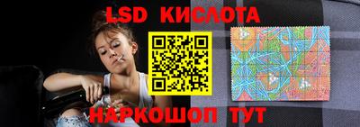 шишки Новокубанск