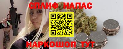 шишки Новокубанск