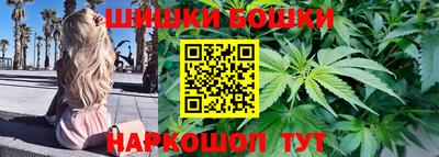 шишки Новокубанск