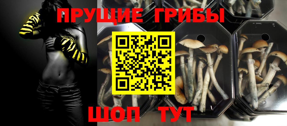 Татарск  Галлюциногенные грибы GOLDEN TEACHER  Вход с VPN 